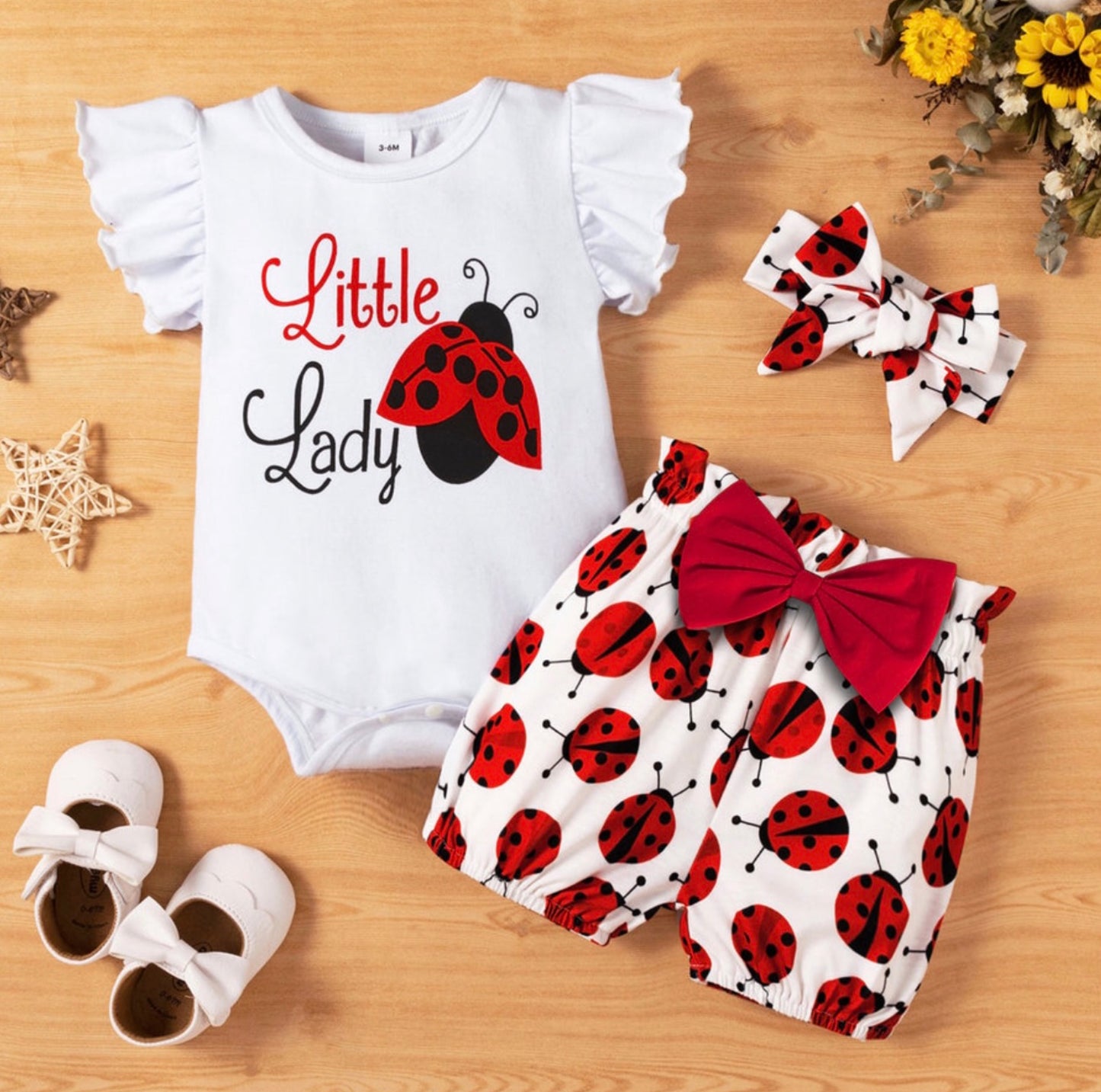 Ladybug Short Set 3pc