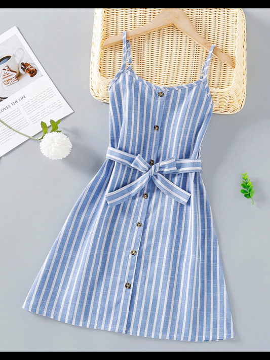 Blue Striped Dress